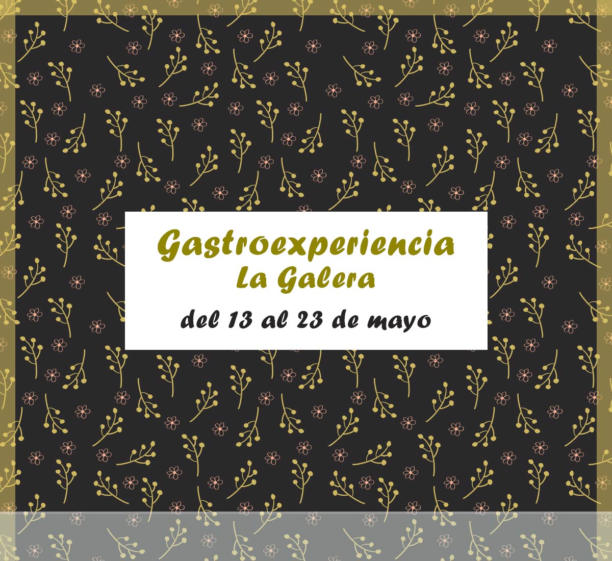 Gastroexperiencia del 13 al 23 de mayo La Galera