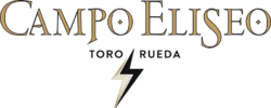 CAMPO ELISEO